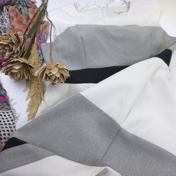 Sandra Darren Elegant Off White and Gray Striped Dress Sz 10 - Picture 9 of 12